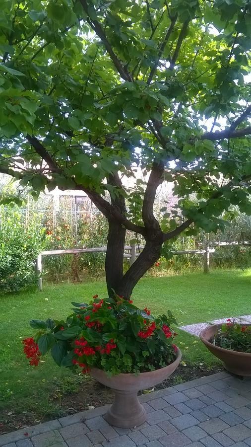 לינה וארוחת בוקר וירג'יו Nonna Alda חדר תמונה